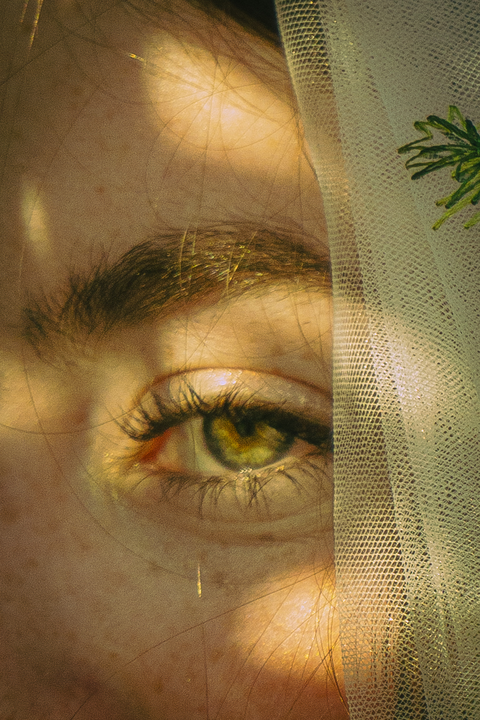Wedding — Bride's eye seen through a delicate veil