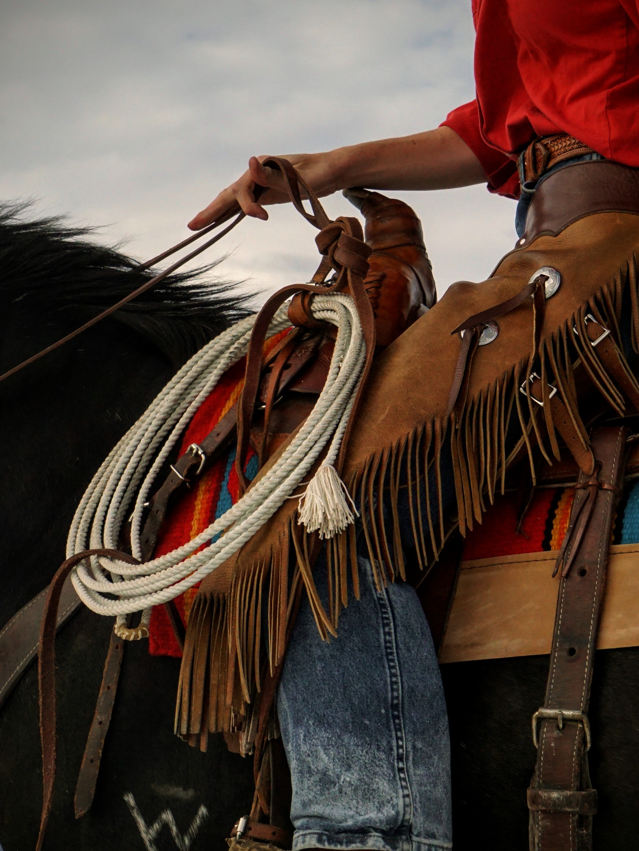 Lifestyle — Rider on horseback with rope on the open range