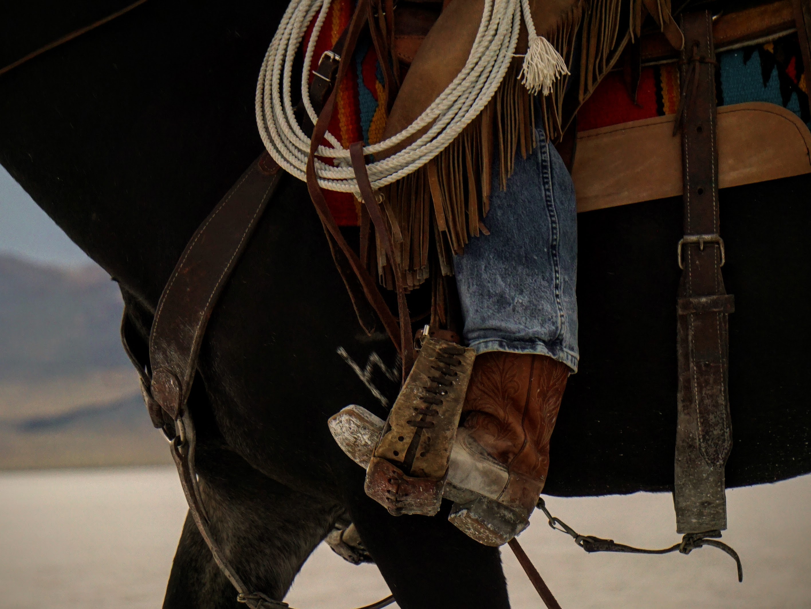 Lifestyle — Close-up of saddle and boots on horseback